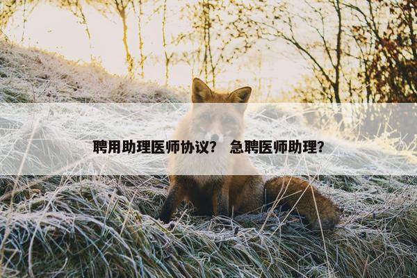 聘用助理医师协议？ 急聘医师助理？