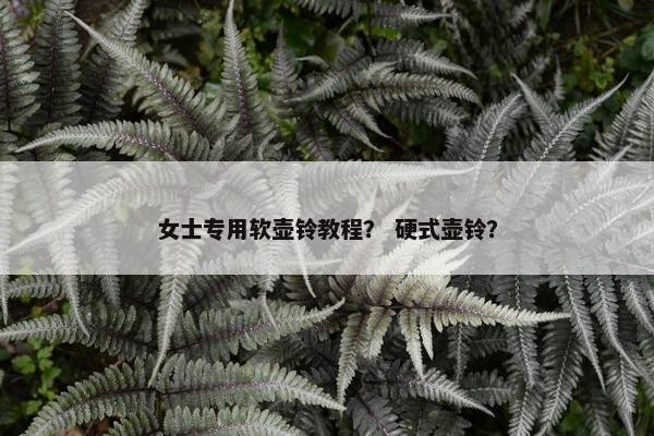 女士专用软壶铃教程？ 硬式壶铃？