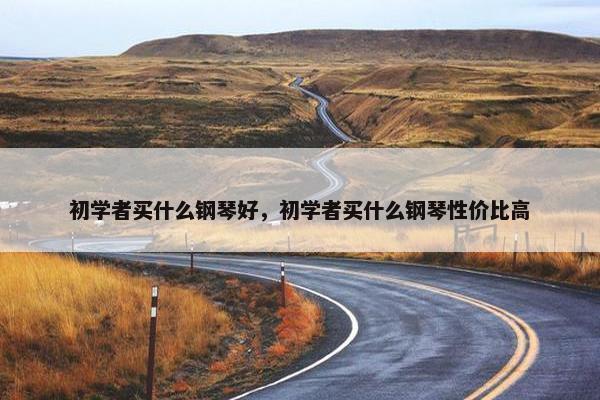 初学者买什么钢琴好,初学者买什么钢琴性价比高 初学者买什么钢琴好,初学者买什么钢琴性价比高
