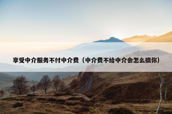 享受中介服务不付中介费（中介费不给中介会怎么搞你）