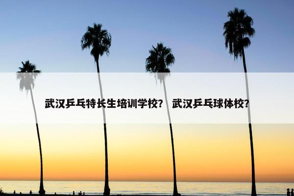 武汉乒乓特长生培训学校？ 武汉乒乓球体校？