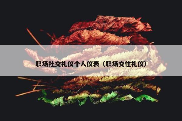职场社交礼仪个人仪表（职场交往礼仪）