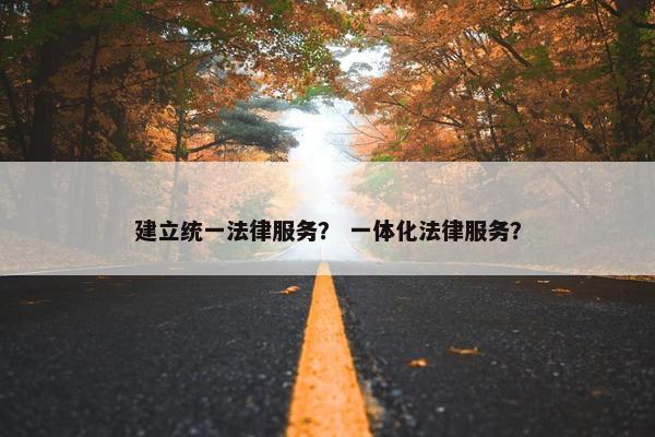 建立统一法律服务？ 一体化法律服务？