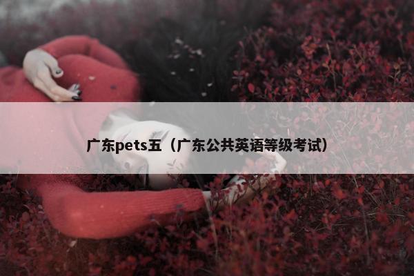 广东pets五（广东公共英语等级考试）