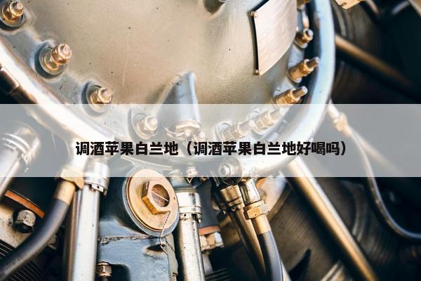 调酒苹果白兰地（调酒苹果白兰地好喝吗）