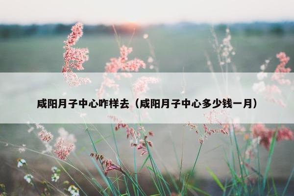 咸阳月子中心咋样去（咸阳月子中心多少钱一月）