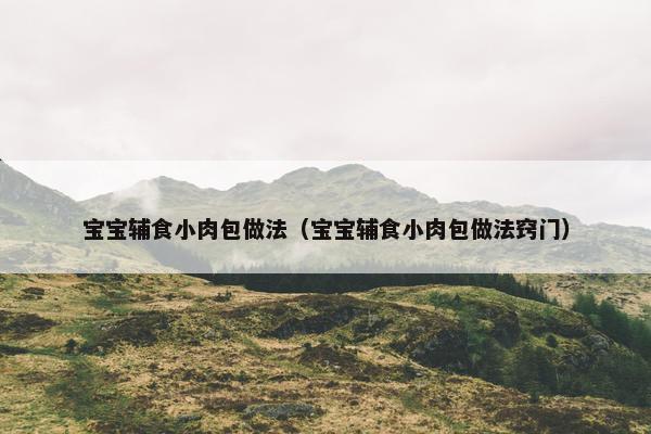 宝宝辅食小肉包做法(宝宝辅食小肉包做法窍门) 宝宝辅食小肉包做法(宝宝辅食小肉包做法窍门)