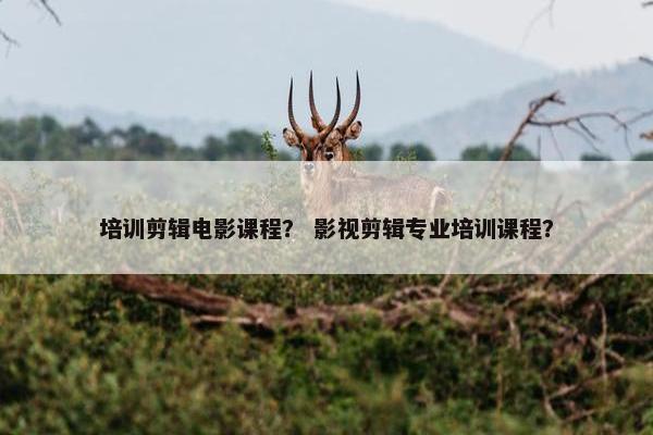 培训剪辑电影课程? 影视剪辑专业培训课程? 培训剪辑电影课程? 影视剪辑专业培训课程?