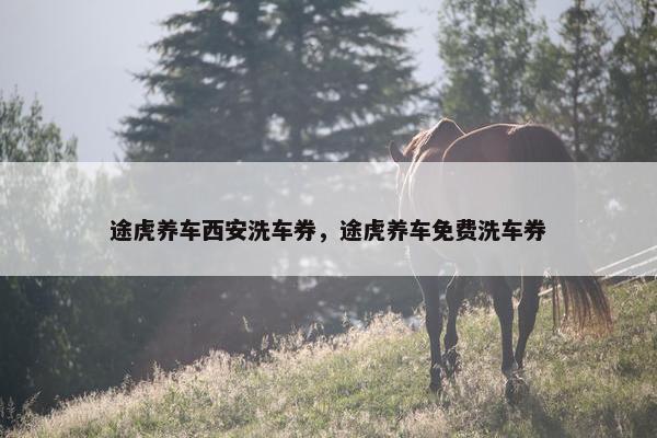 途虎养车西安洗车券,途虎养车免费洗车券 途虎养车西安洗车券,途虎养车免费洗车券