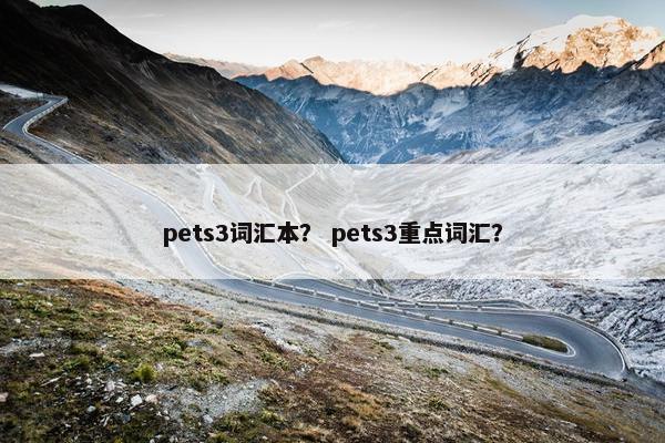 pets3词汇本? pets3重点词汇? pets3词汇本? pets3重点词汇?