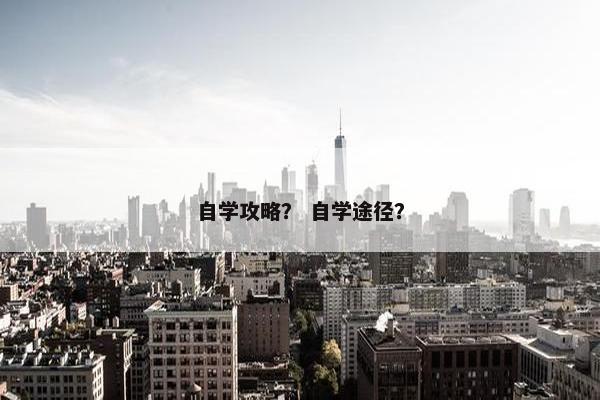 自学攻略? 自学途径? 自学攻略? 自学途径?