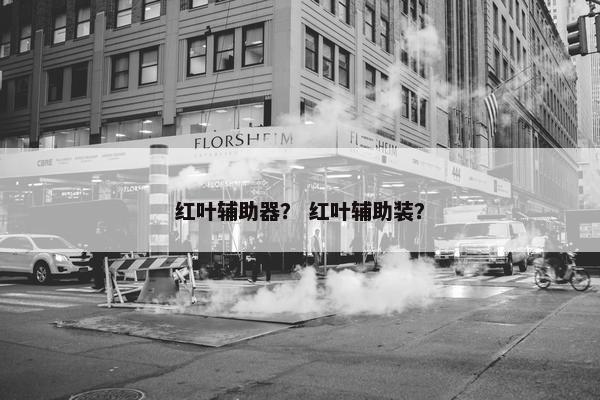 红叶辅助器? 红叶辅助装? 红叶辅助器? 红叶辅助装?