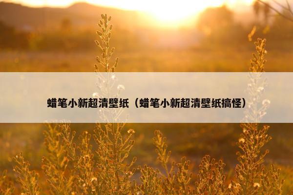 蜡笔小新超清壁纸(蜡笔小新超清壁纸搞怪) 蜡笔小新超清壁纸(蜡笔小新超清壁纸搞怪)