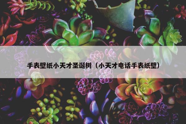 手表壁纸小天才圣诞树（小天才电话手表纸壁）