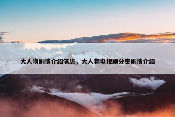 大人物剧情介绍笔袋，大人物电视剧分集剧情介绍