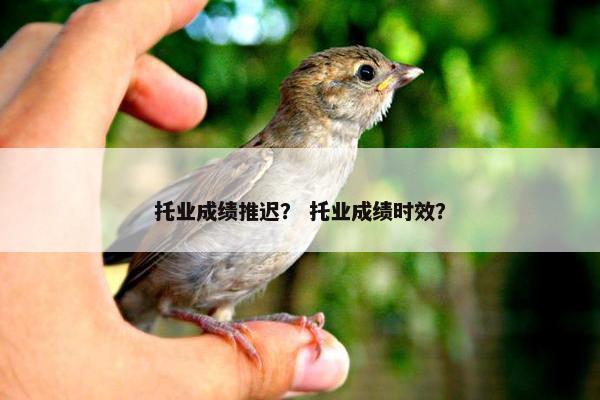 托业成绩推迟? 托业成绩时效? 托业成绩推迟? 托业成绩时效?