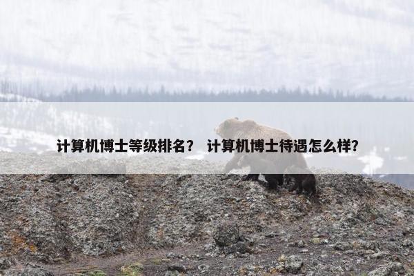 计算机博士等级排名？ 计算机博士待遇怎么样？