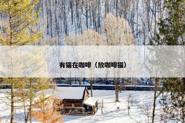 有猫在咖啡（放咖啡猫）