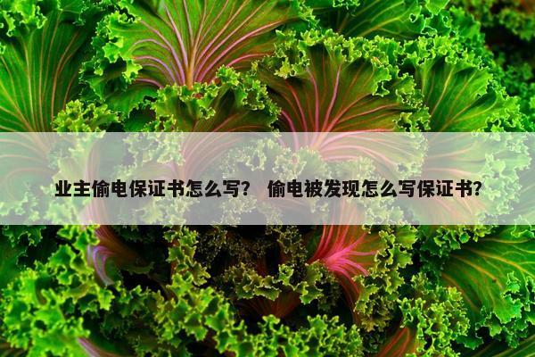 业主偷电保证书怎么写? 偷电被发现怎么写保证书? 业主偷电保证书怎么写? 偷电被发现怎么写保证书?