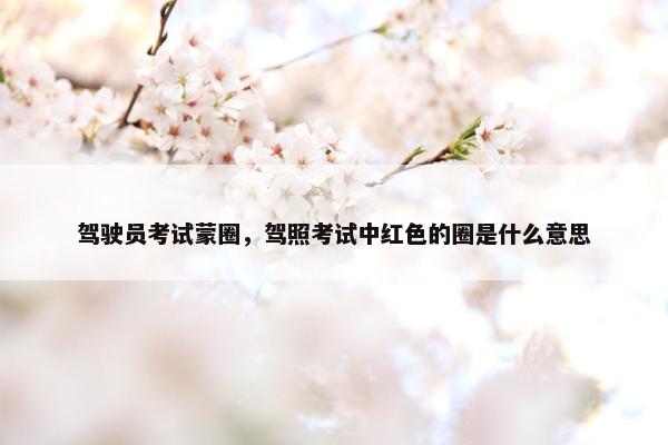 驾驶员考试蒙圈，驾照考试中红色的圈是什么意思