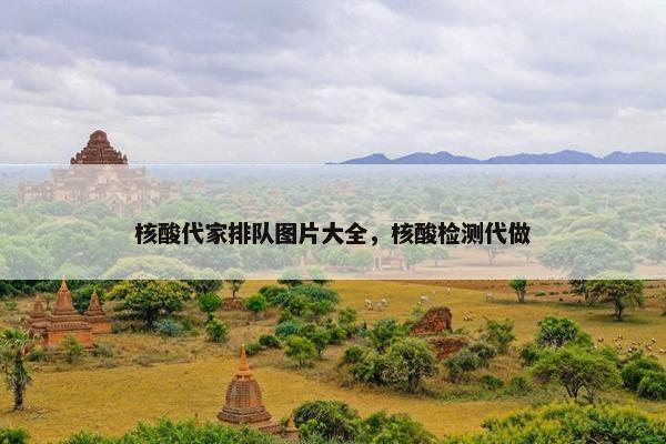 核酸代家排队图片大全,核酸检测代做 核酸代家排队图片大全,核酸检测代做