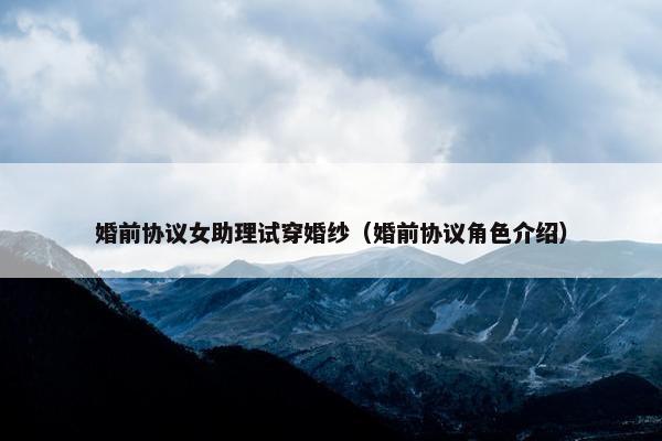 婚前协议女助理试穿婚纱（婚前协议角色介绍）