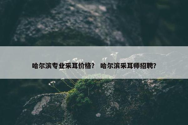 哈尔滨专业采耳价格？ 哈尔滨采耳师招聘？