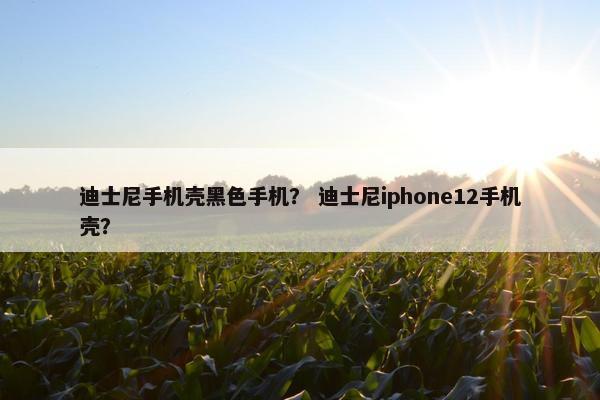 迪士尼手机壳黑色手机？ 迪士尼iphone12手机壳？