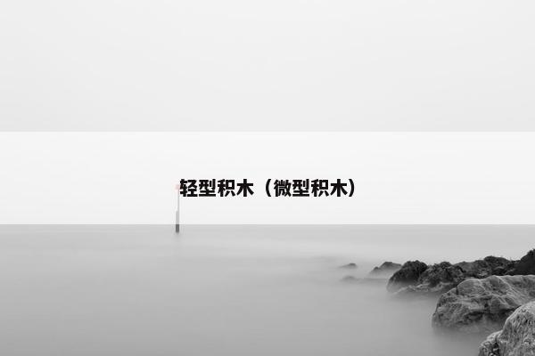 轻型积木（微型积木）