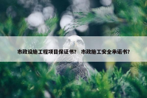 市政设施工程项目保证书? 市政施工安全承诺书? 市政设施工程项目保证书? 市政施工安全承诺书?