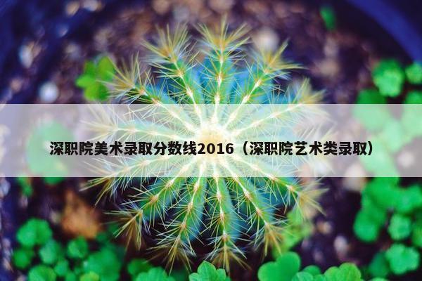 深职院美术录取分数线2016(深职院艺术类录取) 深职院美术录取分数线2016(深职院艺术类录取)