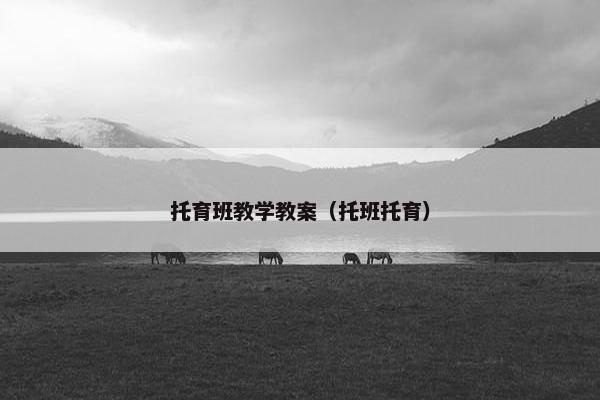 托育班教学教案（托班托育）