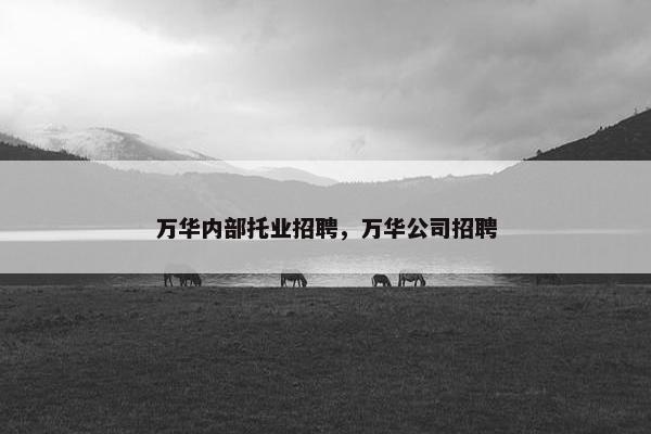 万华内部托业招聘，万华公司招聘
