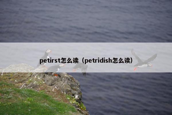 petirst怎么读（petridish怎么读）