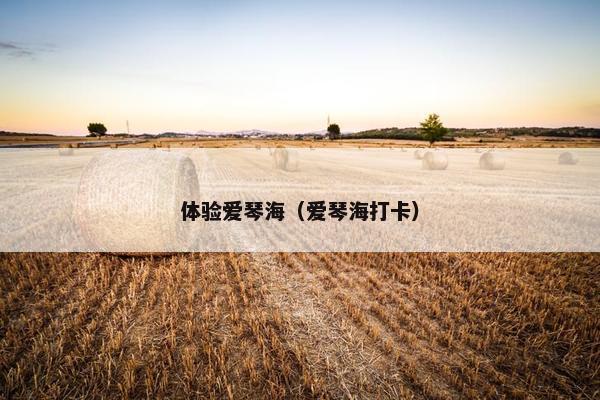 体验爱琴海（爱琴海打卡）