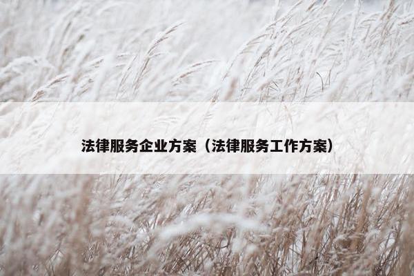 法律服务企业方案（法律服务工作方案）