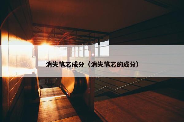消失笔芯成分（消失笔芯的成分）
