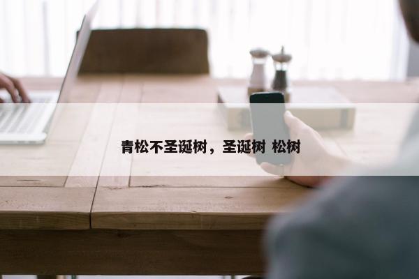 青松不圣诞树，圣诞树 松树
