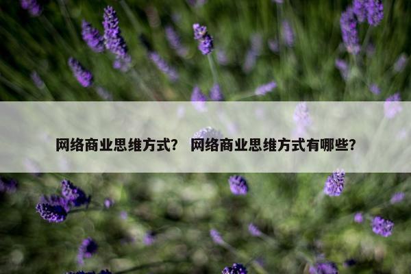 网络商业思维方式？ 网络商业思维方式有哪些？