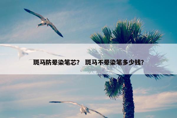 斑马防晕染笔芯？ 斑马不晕染笔多少钱？