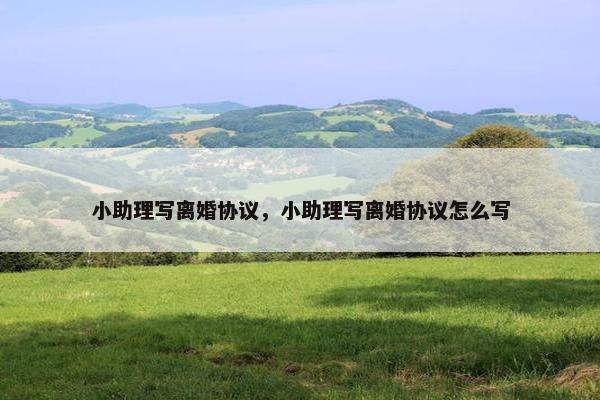 小助理写离婚协议，小助理写离婚协议怎么写