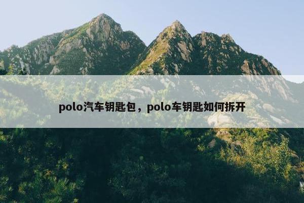 polo汽车钥匙包，polo车钥匙如何拆开