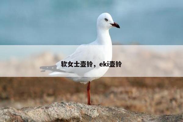 软女士壶铃，eki壶铃