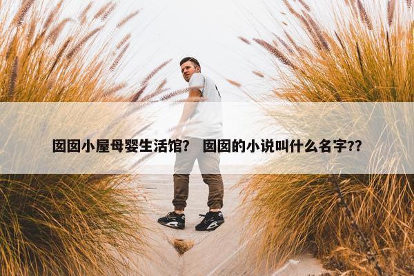 囡囡小屋母婴生活馆？ 囡囡的小说叫什么名字?？