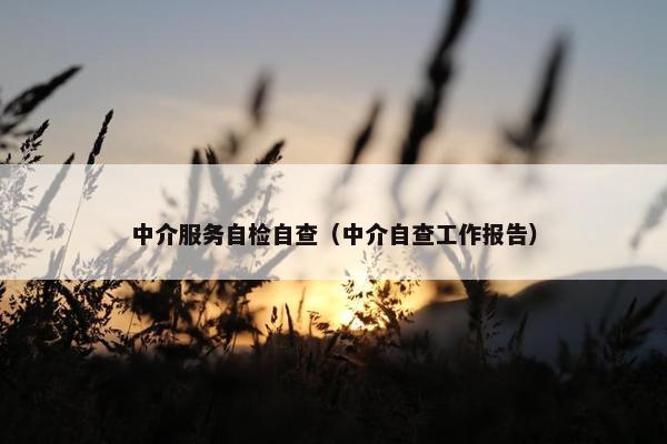 中介服务自检自查（中介自查工作报告）