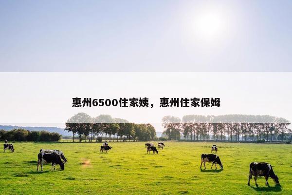 惠州6500住家姨，惠州住家保姆
