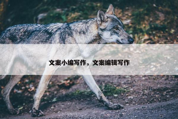 文案小编写作，文案编辑写作