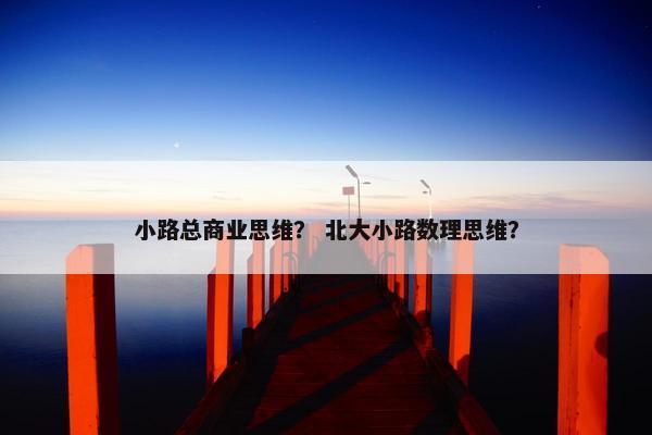 小路总商业思维？ 北大小路数理思维？