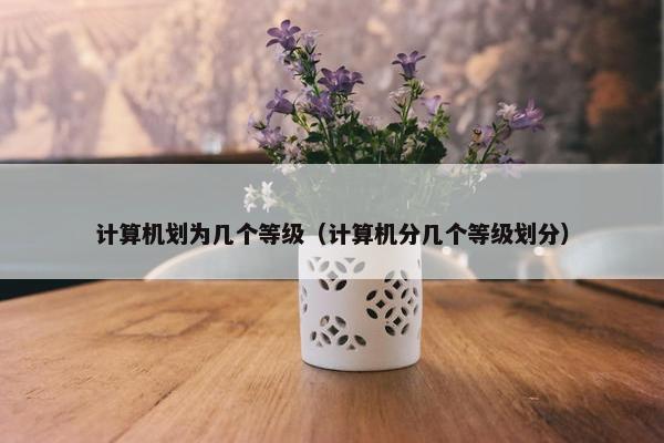 计算机划为几个等级（计算机分几个等级划分）