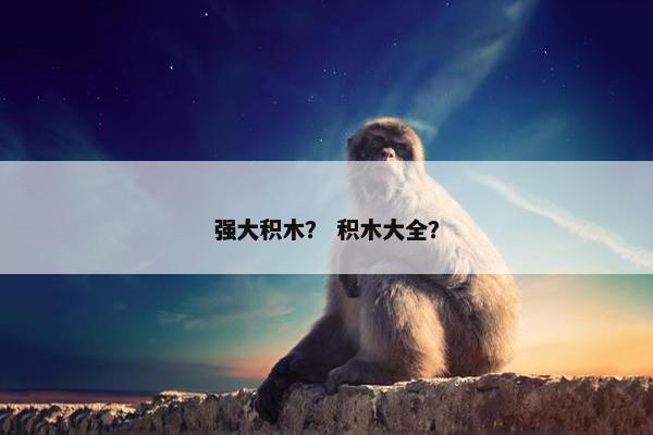 强大积木？ 积木大全？